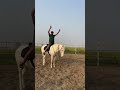 Horse Riding Class Gurdev Photographics