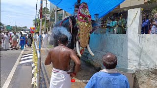 എഴുന്നള്ളത്തിനിടയിൽ റോഡരികിൽ വെള്ളം കിട്ടിയപ്പോൾ  ആന  ചെയ്തത്  #teamkombanz #elephant