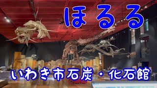 いわき市石炭・化石館 🦕ほるる🦖