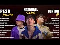 Peso Pluma X Natanael Cano X Junior H  Corridos Tumbados 2023  Grandes éxitos Mix 2023