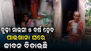 ବୁଢ଼ୀ ମାଉସୀ ୫ ବର୍ଷ ହେବ ପାଇଖାନା ଘରେ ଜୀବନ ବିତାଉଛି