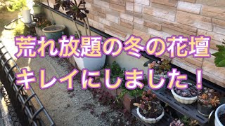 冬の花壇リメイクします【庭作り】【花壇】【リメイク】【植え替え】【12月】