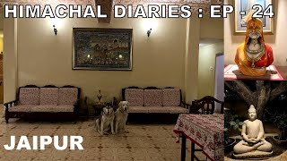 Pet friendly hotel in Jaipur | Anuraag villa