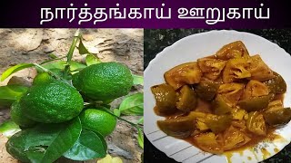 Narthangai Sweet pickle homemade/நார்த்தங்காய்  இனிப்பு ஊறுகாய்