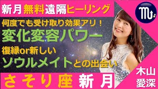 半自動的に願いが叶っていく！新月の遠隔ヒーリング【復縁】【ソウルメイトとの出会い】何度でも受け取ってね！蠍座新月の願い事