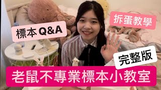 章魚哥的老鼠標本教學 - 廢話很多之完整版