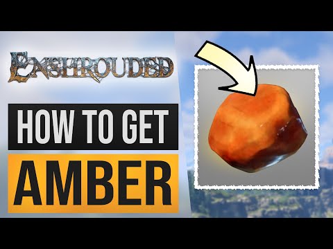 Where can I order Ambers?