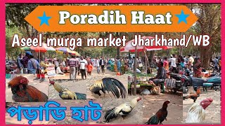 Aseel Murga price update in India#kukru# Poradih Hat # Balarampur Hat# Murga Market #Jharkhand/WB