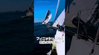 三崎・横濱ヨットレース2024に参加　 #海 #セーリング #横浜 #shorts  #ヨット #ヨットレース #sailboat #ヨットクラブ #アウトドア