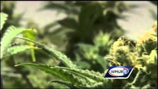 Granite State approves medical marijuana treatment centers