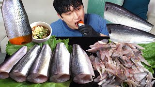 Raw Gizzard shad!! MUKBANG REALSOUND ASMR EATINGSHOW