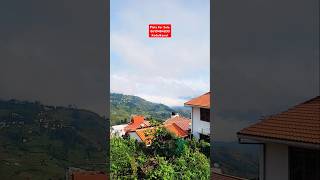 நல்ல வியூவில்🏞👌 பிளாட்டுகள் விற்பனைக்கு #plotforsale #houseforsale #landforsale #kodaikanal #shorts