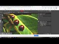 How to Remove Part of an Image with Photopea