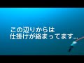 水中動画 【釣り好き必見 】ヒラメがバケを追う！ ７月上旬 北海道 小樽沖 水深40m 水中動画 ヒラメ ブリ