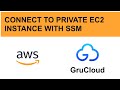 Connect a private EC2 instance with the AWS Session Manager