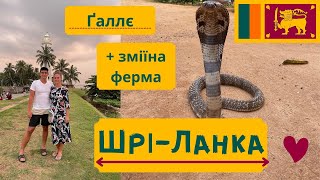 Шрі-Ланка: Ґаллє, форт, шопінг + Зміїна Ферма біля Велігами