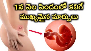 1st month how the fetus is formed, no significant changes | Pregnancy 1st Month Fetus formation short video