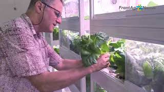 Demonstration Case: Advanced Indoor Aquaponic System by Ben-Gurion University