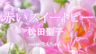 赤いスイートピー/松田聖子/coverともちゃん