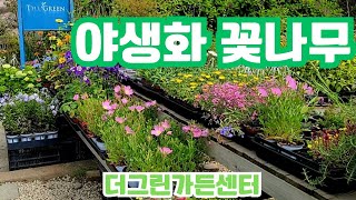 더그린가든센터 🌳큰꽃으아리3종 🌸백두풍로초 🌸소리야 블루벨 🌸통영무늬백화등 🌸흑등 🌸테코마 황종화 🌸자주꽃받침🌸마가목 🌸함박꽃나무 🌸매화헐떡이🌸무늬카사바🌸호스타5종🌸가문비5종🌳