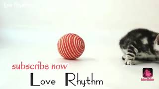 AE WATAN WATAN MERE AABAD RAHE TU || Love Rhythm