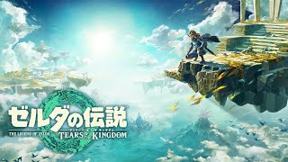 ゼルダの伝説 ティアーズ オブ ザ キングダム 初見プレイ36