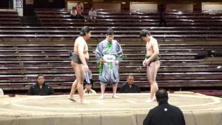 Furanshisu (2-1) - Takamayama (3-0) , Sumo : Natsubasho '16