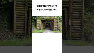 【 #日本一周 #自転車旅 】日本一周と野生動物