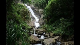 Surathali Ella | Belihuloya | Sri Lanka 🇱🇰