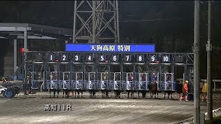 2019/01/23 高知競馬11R カンパイ（スタートやり直し）