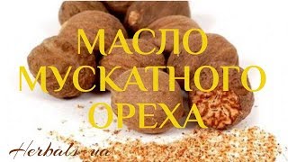 Масло мускатного ореха | Лучшее средство для молодости и красоты волос