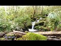 【登山】黒姫山（長野県・北信五岳）