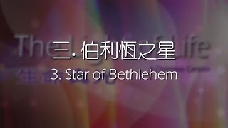 3. 伯利恆之星 Star of Bethlehem