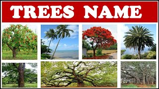 Trees Names | Names of trees for kids | Names of Trees in English | Names of Trees with pictures