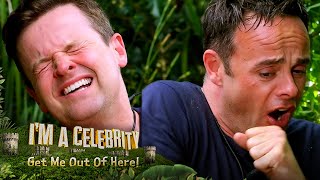 Ant & Dec FINALLY take on a Bushtucker Trial! | I'm A Celebrity... Get Me Out Of