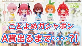 天真爛漫な四葉をゲットしたい！五等分の花嫁あそーと3くじガシャに挑戦！