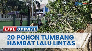 Hujan Lebat Disertai Angin Kencang Landa Kota Mataram, 20 Pohon Tumbang Hambat Arus Lalu Lintas