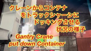 クレーンからコンテナをトラックシャーシにドッキングさせる状況の様子 Gantry Crane put down Container