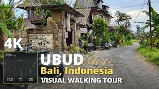 Ubud Bali Indonesia: 4K Virtual Walking Tour | Outskirts of Ubud | What to see in Bali