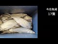 【阿賢爸】愛釣魚 ep.257 釣友借我一個新玩具 看能不能增加中魚 大咬釣組金珠釣法珠鉤釣法