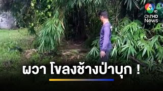 ชาวบ้านผวา แขกไม่ได้รับเชิญ โขลงช้างป่าบุกโรงเรียน-บ้าน | จ้อข่าวเช้า