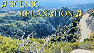 BEAUTIFUL NATURE | Arizona | Relaxing Music