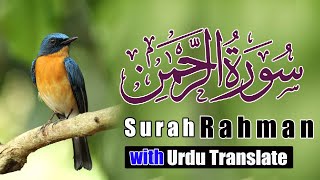 Surat Rehman Today Quran With Urdu translate Qari Noman And Ramzan 2024