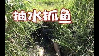 草沟里鱼多抓不了，农村光棍为了吃顿鱼把水抽干，钻进桥洞大货抓嗨了【壮乡小莫】