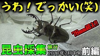 【カブトムシ・クワガタ】 昆虫採集旅行 2017年7月中旬 前編