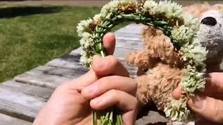 シロツメクサ クローバーの花輪の作り方　DIY　Make a clover crown along with Duffy