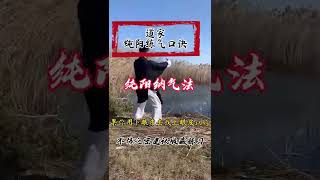 纯阳练气法 道家真正的干货 Pure Yang Qi practice Daoist real dry goods