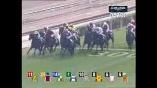 2013年 香港スプリント(G1) ロードカナロア【ラストラン】