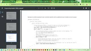Chapter 4 While Loop Examples