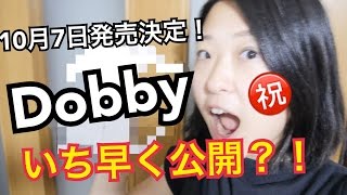 #60 Dobbyがほしすぎてつくった！